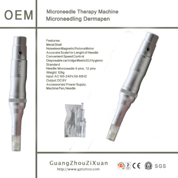 Elektrisch Msso Maschine-Desrmapen in Microneedlse Therapie-System